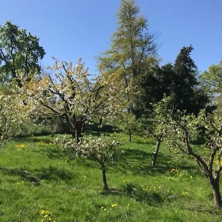Peckatel - Alte Scheune Klein Vielen